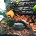 thumbnail image 2 of Greeniant Reptil Vides artificiales Ratán Animal Escalada Selva Jaula Hábitat Decoración Decoración del hábitat del terrario No.02 Greeniant PT0196-02, 2 of 6
