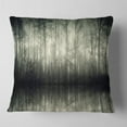 thumbnail image 2 of Designart Beautiful Gray Forest in Germany - Landscape Photography Throw Pillow - 18x18, 2 of 5