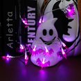 thumbnail image 5 of Guirnaldas de luces solares para Halloween, 20 pies, 40 LED, luces LED de murciélago moradas, resistentes al agua, para decoración de fiestas interiores y exteriores de Halloween, patio, césped,, 5 of 5