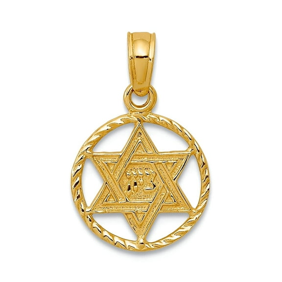 14k Yellow Gold Solid Polished Religious Judaica Star of David In Circle Frame Pendant Necklace 18x11mm Wide Pendant for