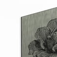 thumbnail image 2 of Luxe Metal Art 'Linen Vegetable BW Sketch Lettuce' by Studio Mousseau, Metal Wall Art, 24"x24", 2 of 7