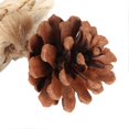 thumbnail image 3 of Bird Chew Toy, Beak Grinding, Boredom Relief, Corn Cob, Pine Cone, Bite Toy for Medium and Large Parrots, Original Color, 3 of 4