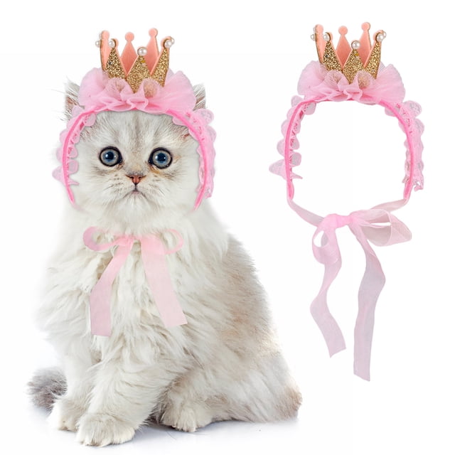 Conjunto de vestido de cumpleaños para mascotas, tocado para gatos, corona, collar de cumpleaños para mascotas 1555