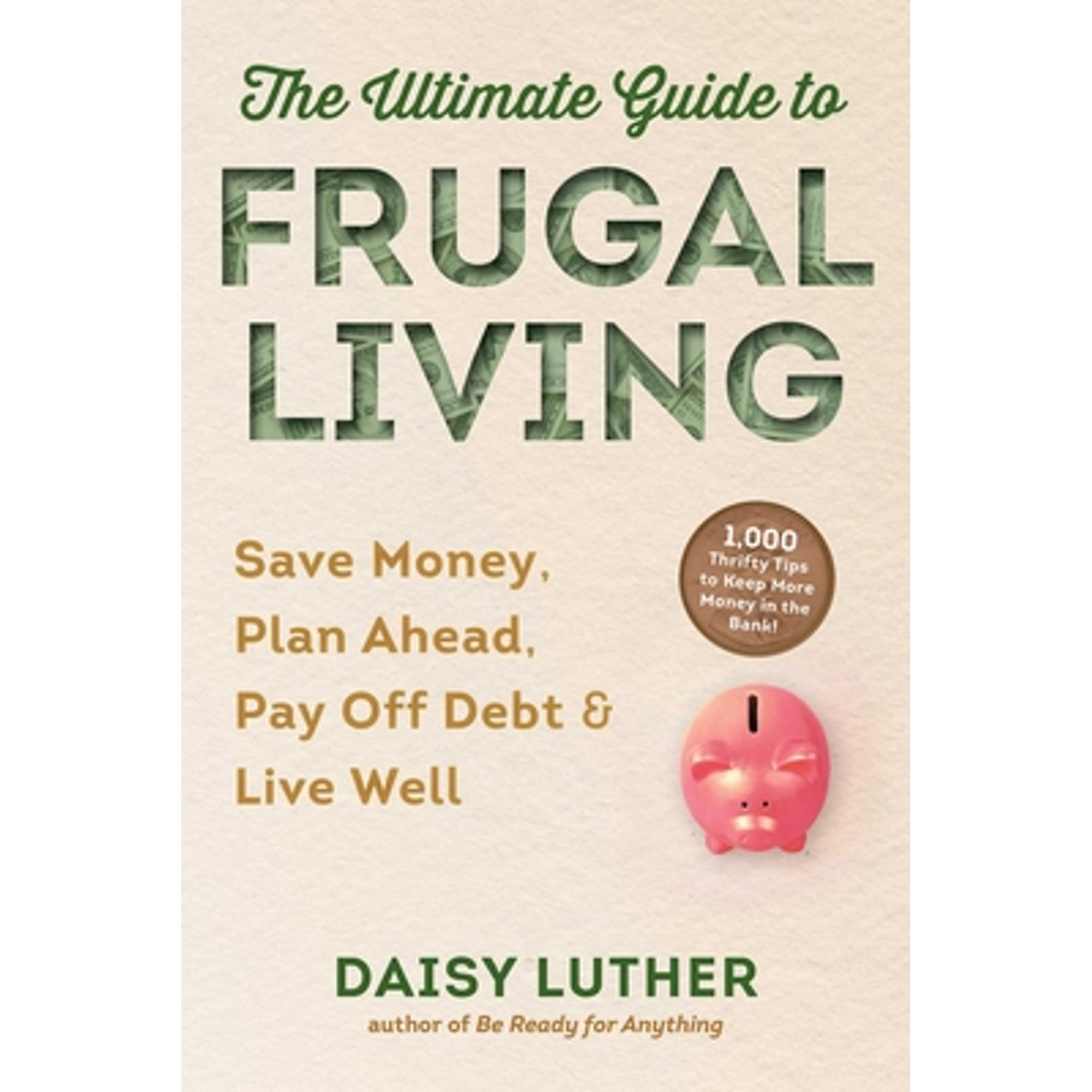 The Frugal Dudes Guide to Sustainable Living Reducing Energy Consumption at Home