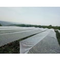 thumbnail image 6 of Patio Net Protector Cover for Plantting Fruit Vagetable Flowers Mesh Bird-proof Net Cover 600*1000cm, 6 of 9