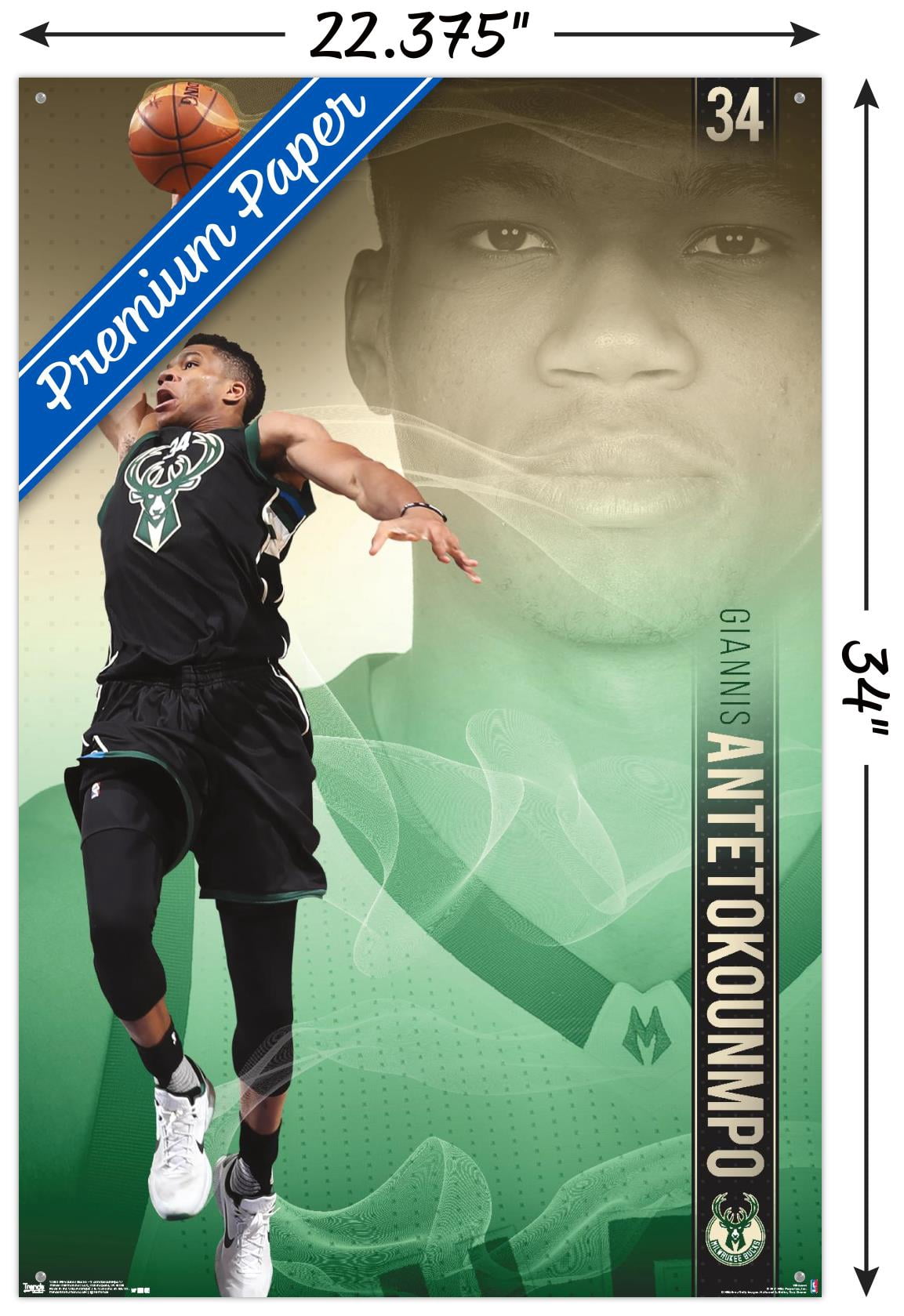 NBA Milwaukee Bucks - Giannis Antetokounmpo 17 Wall Poster with Push Pins, 22.375" x 34"