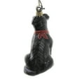 thumbnail image 2 of Labrador Retriever Black with Bandana Dog Polish Blown Glass Christmas Ornament, 2 of 3