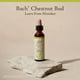 thumbnail image 5 of Flor Essence Bach Original Castaño Bach, 20 ml, vegano, 5 of 6