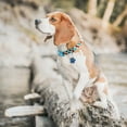 thumbnail image 6 of MASBRILL Dog Collar for Small Dogs, Adjustable Dog Collars with Buckle, Breathable Soft Nylon Dog Collar, 6 of 6