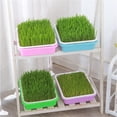 thumbnail image 4 of Seed Sprouter Trays- Soil-Free Cultivation Germination Tray, Nursery Tray with Planting Paper for Indoors or Outdoors Sprouting Seeds, Grow Grass, Beans (With Lids, 4 of 6