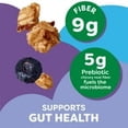 thumbnail image 3 of Kashi Gut Health Blueberry Almond Granola, Prebiotics and High Fiber, Whole Grain, 8 oz pack of 1, 3 of 5