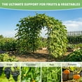 thumbnail image 6 of MOPHOTO Tall Garden Trellis Cucumber Trellis for Climbing Plants,88in Tall Metal Plant Support Trellis for Climbing Vine Vegetable/Fruit/Flower Outdoor Yard Lawn Garden Tunnel Trellis, 6 of 10