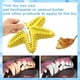 thumbnail image 4 of Juguetes para perros, juguetes masticables para perros, goma antimordeduras con forma de estrella de mar, limpieza de dientes adecuada para perros pequeños y medianos., 4 of 5