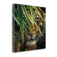 thumbnail image 2 of Tiger Eyes By Colin Bogle, 25" x 25" Fine Art Giclee Print on Gallery Wrap Canvas, Ready to Hang, 2 of 2