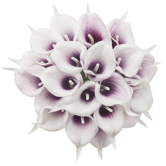 Hongchun 24 Pcs Artificial Calla Lily with Soft PU Stem (Purple White)