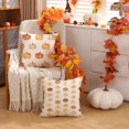 thumbnail image 3 of Fall Pillow Covers 18x18 inch Set of 2 Fall Decoration Pumpkin Decor White Autumn Outdoor Pillow Cover Thanksgiving Decoration for Home Couch TH-120A18, 3 of 6