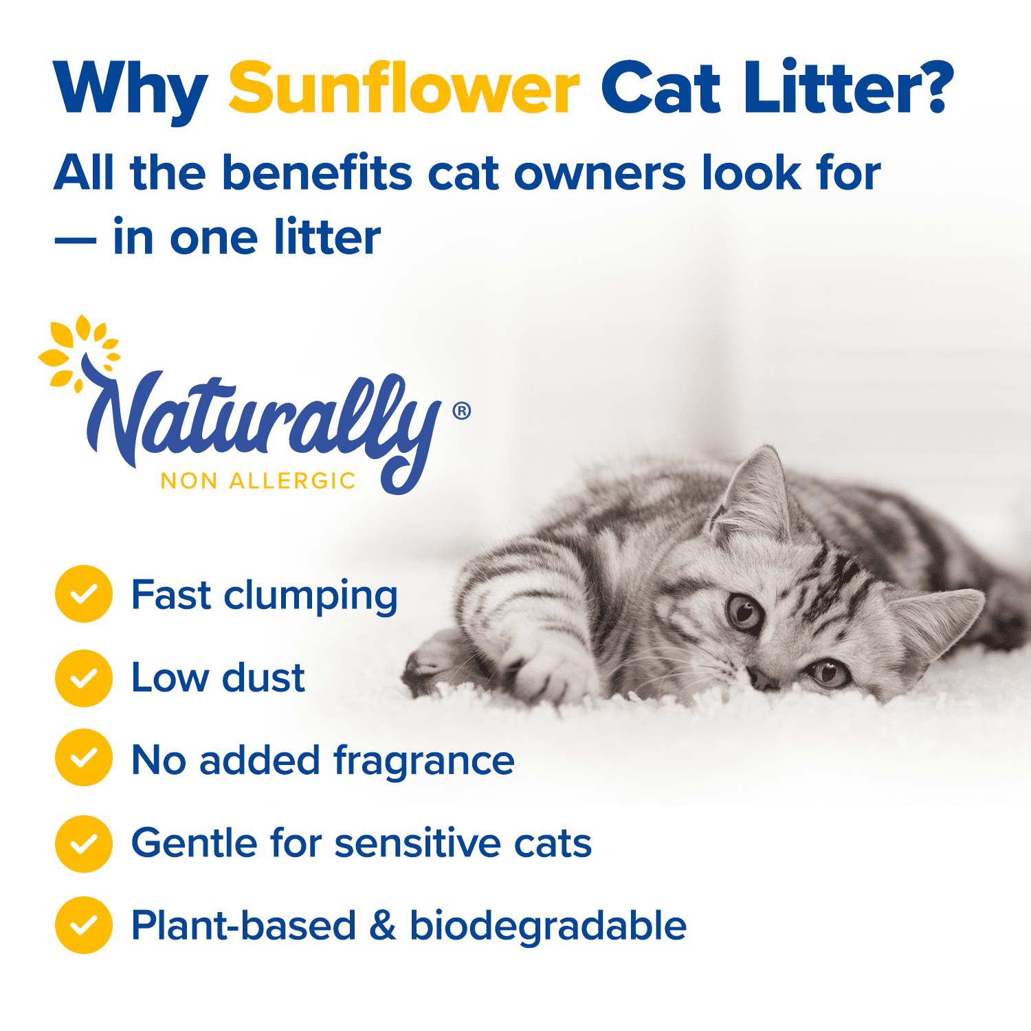 Quick Clumping Cat Litter