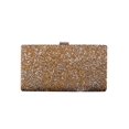 thumbnail image 3 of Bolsa de noche para mujer Elegante monedero de encuadernación para banquete de fiesta (champán brillante) Likrtyny Para Estrenar, 3 of 7
