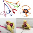 thumbnail image 2 of Pet Bird Harness Adjustable Leash Flying Training Rope for Parrot Cockatoo Macaw Cockatiels, 2 of 7