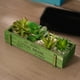 thumbnail image 1 of Caja de maceta de madera verde 1pcs Rectangle Succulent Plant Pot Storage Box Organizer, Plantas suculentas Vintage Floral Plant Container para decoración de ventanas de hogar oficina, 1 of 7