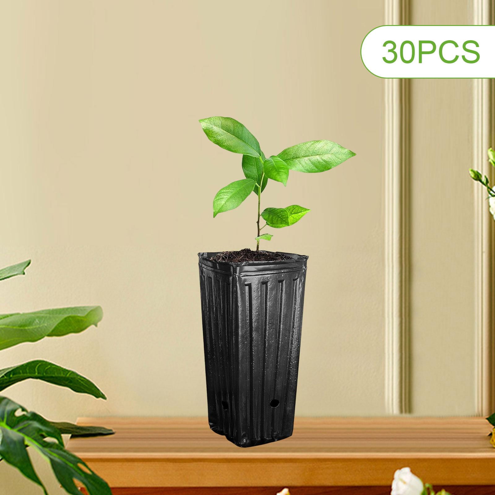 simhoa 30x Deep Tree Starter Pots Plant Container Nursery Cups Breathable Growing Versatile Germination Garden Plants Seedling Pots S