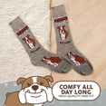 thumbnail image 5 of Men's Beware of Dog Bulldog Crew Socks, 5 of 5