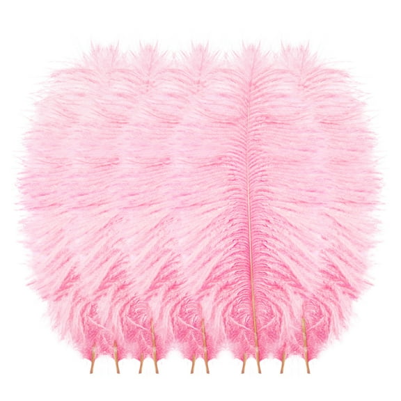 Clearance Sale 10 Pcs Multicolor Plumage For Wedding Party Centerpieces Flower Arrangement Home Decoration Diy Big Floating Plume Hair Craft Decoration Wedding Plumage School Supplies