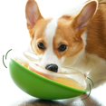 thumbnail image 1 of Dosificador de golosinas Wobble Toy PAW QUEST Avocado para perros, 1 of 7