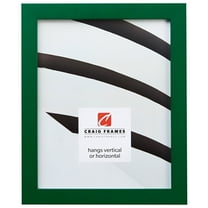 Craig Frames Confetti, 20x30 inch Picture Frame, Shamrock Green