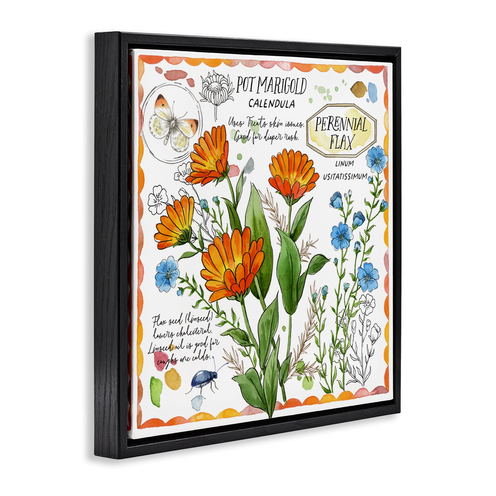 Stupell Industries Country Herb Uses Plants & Flowers Painting Black Floater Framed Canvas Art Print Wall Art, 25 x 25