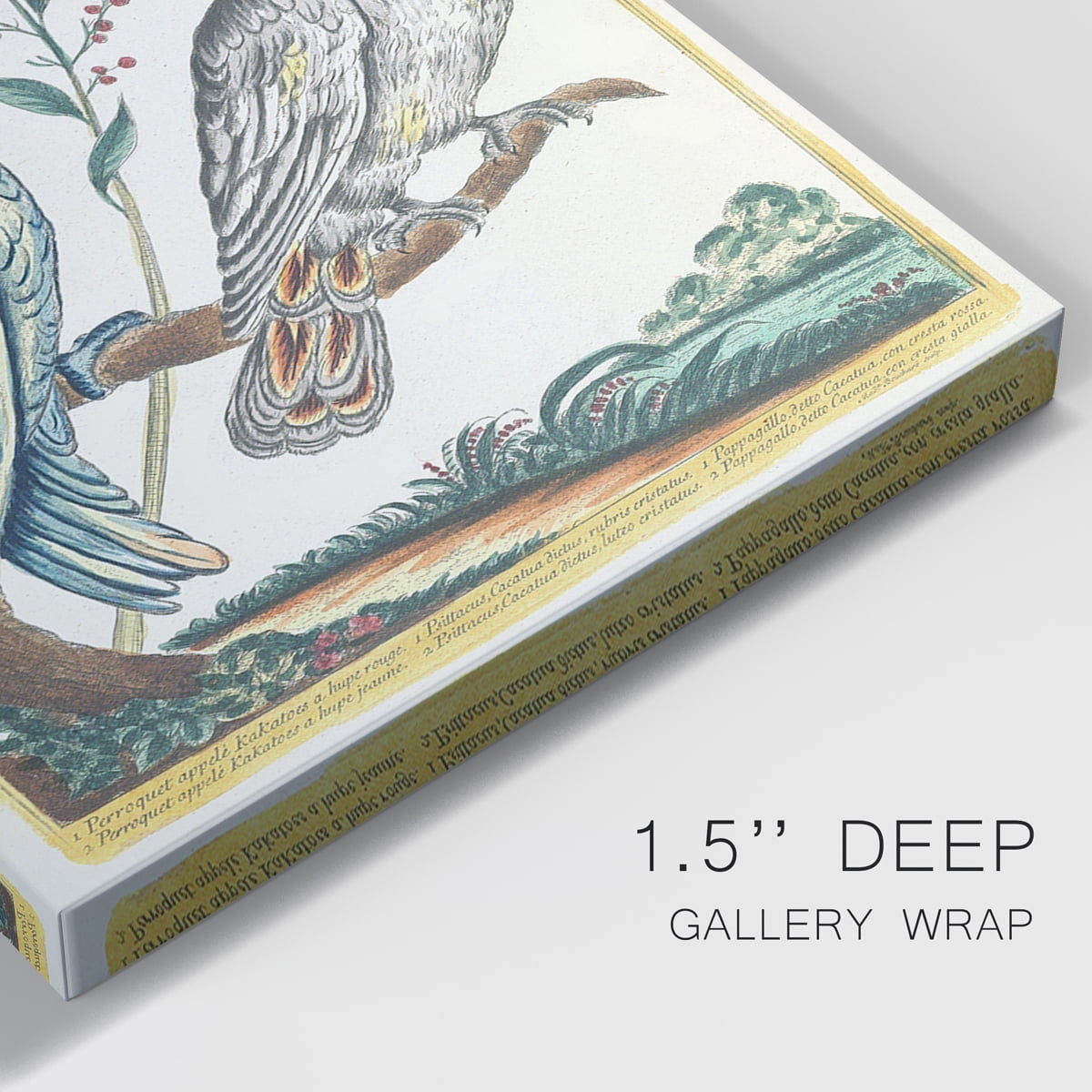 Pastel Birds I Premium Gallery Wrapped Canvas - Ready to Hang - 12 x 18 Each
