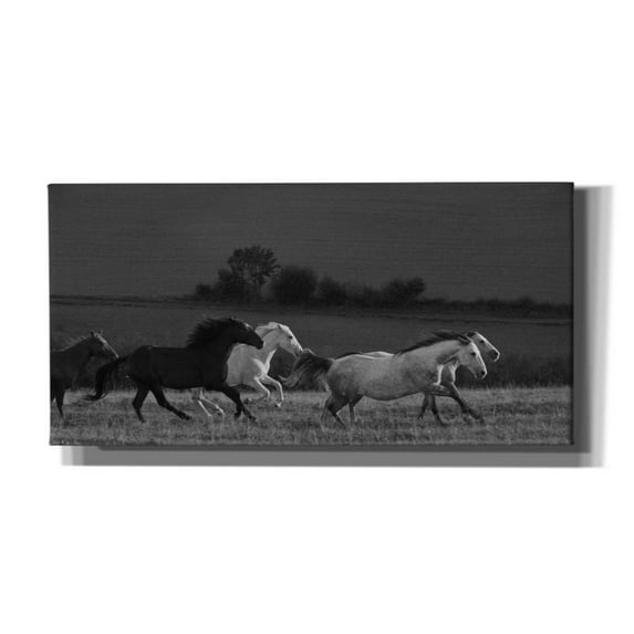 Epic Graffiti 'Running France' by Susan Friedman,, 40"x20"