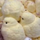 thumbnail image 3 of Keai Juguetes Hechos A Mano para Rascar y Frotar Pollo Amarillo Pequeño Juguete de Regalo de Pollo de Silicona B, 3 of 5