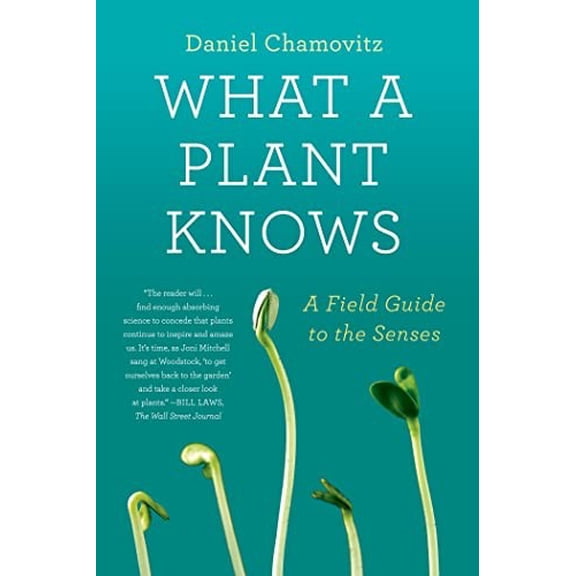 Pre-Owned What a Plant Knows: A Field Guide to the Senses (Paperback) 0374533881 9780374533885