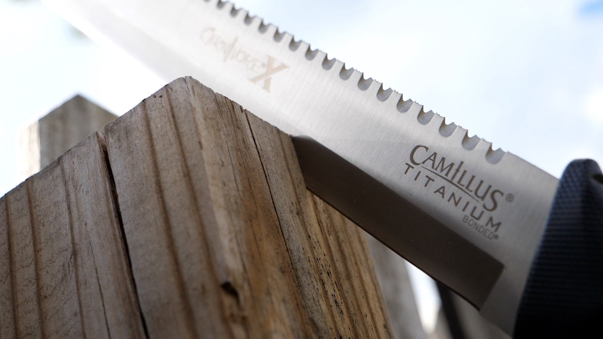 Camillus Carnivore x Machete, 18", Titanium Bonded, Full Tang, Trimming Tool and Sheaths, Black, 1-Count