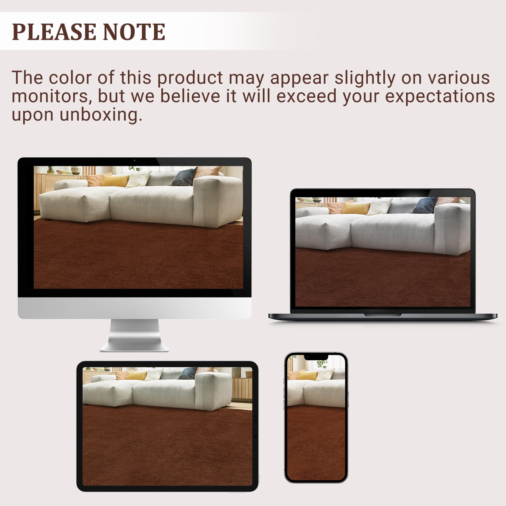 Hasoo Washable Area Rug Modern Minimalist Brown Rug with Non Slip Backing Soft Fluffy Living Room Carpet