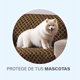thumbnail image 3 of Protector P/Sala Dos Plazas Moka Poliéster Concord, 3 of 3