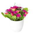 thumbnail image 2 of Simulated Flower Pot Colorful Roses Floor Decoration Plastic Showcase Home Yard Simulation Bonsai for Dinning Table, 2 of 9