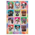 thumbnail image 1 of Keith Kimberlin - Chiots - Lunettes de soleil, 1 of 4