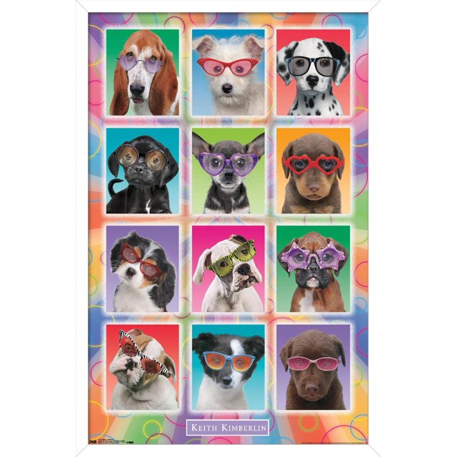 Keith Kimberlin - Chiots - Lunettes de soleil