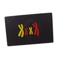thumbnail image 3 of DOLITY Anatomical Human Chromosome Model Genetic Teaching Tool for School Classroom, 3 of 9