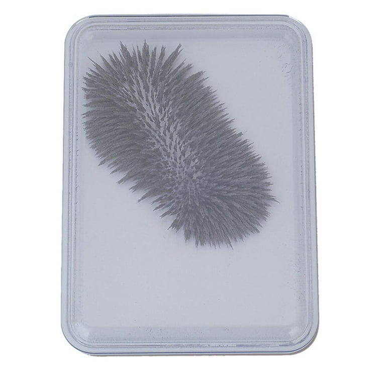 Magnetic filings toy discount