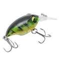 thumbnail image 3 of Mini Appât de Minnow de Pêche, Réaliste Pêche Mini Leurre Yeux en Trois Dimensions pour l'Extérieur 6, 7, 8, 9, 10, 3 of 8