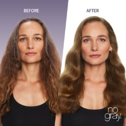 No Gray Quick Color Shampoo, Med. Brown