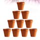 thumbnail image 4 of 20 macetas de terracota rojas con agujero para cactus y suculentas (3 x 3 cm), 4 of 6