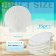 thumbnail image 3 of Quaqdae 15 PCS Natural Sea Shell Large White, 4-4.7 Inch Scallop Shells for DIY Craft, Serving Food, Baking and More, 3 of 7