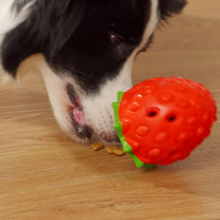 14 Indestructible Dog Toys for Heavy Chewers