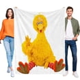 thumbnail image 1 of Big Bird anti-pilling, suave, ligera, esponjosa y acogedora de lujo para hogar y cocina – Perfecta para niños y adultos,120X150cm, 1 of 6