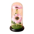 thumbnail image 3 of Aosijia Sunflowers Artificial Flowers in Glass Dome LED light Gifts for Xmas,Valentine Day,Wedding,Mothers Day,Anniversary,Birthday, 3 of 9