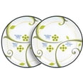 thumbnail image 3 of Precise Portions Microwave Safe Adult Tableware Plates, Fiber Green White, (Set of 2), 3 of 4